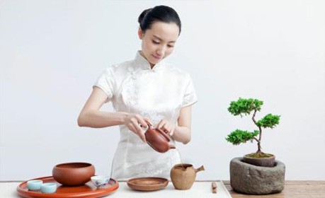 菏澤茶藝評茶班